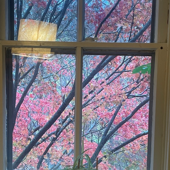 Meet your Posher, Lhamu - Picture 1 of 1